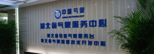 湖北网络技术服务 数字化转型浪潮下的行业新气象