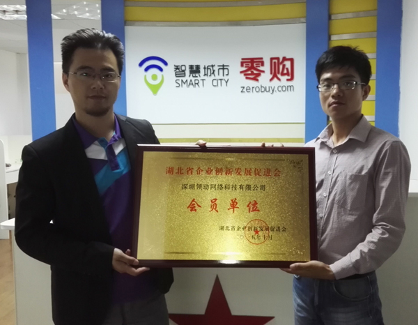 领动科技，引领互联网未来——湖北网络技术服务的创新与展望